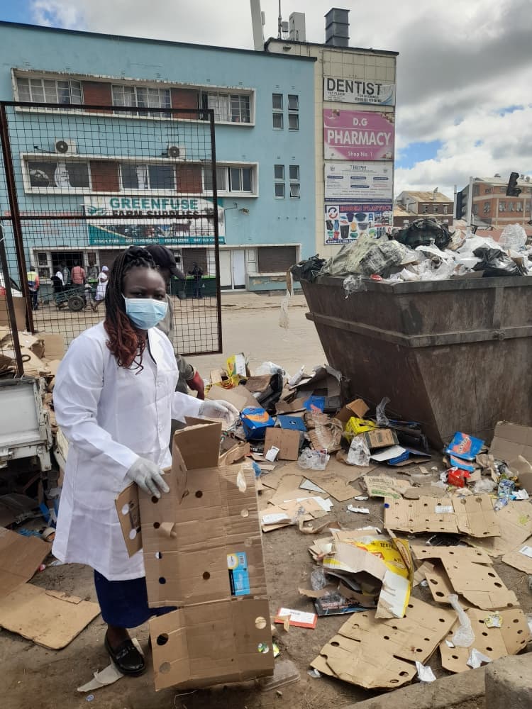 Tree planting and conservation efforts